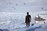 Antony Gormley, Horizon Field